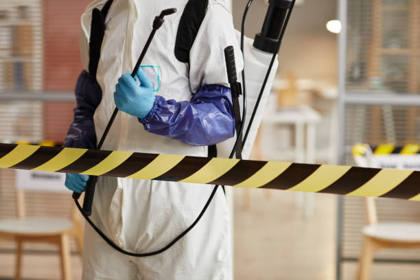 Professional Sewage Cleanup technician working in Waterville, WA